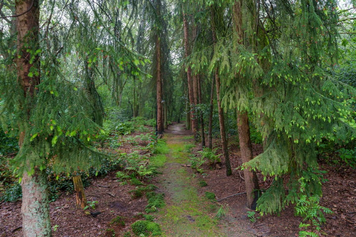 Bekijk foto 4 van Bovenhaarweg 16