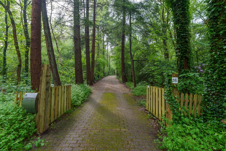 Bekijk foto 5 van Bovenhaarweg 16