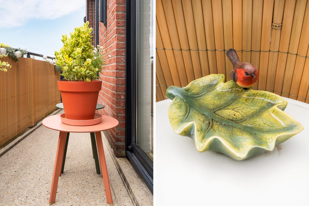 Foto 26 van Claes de Vrieselaan 165