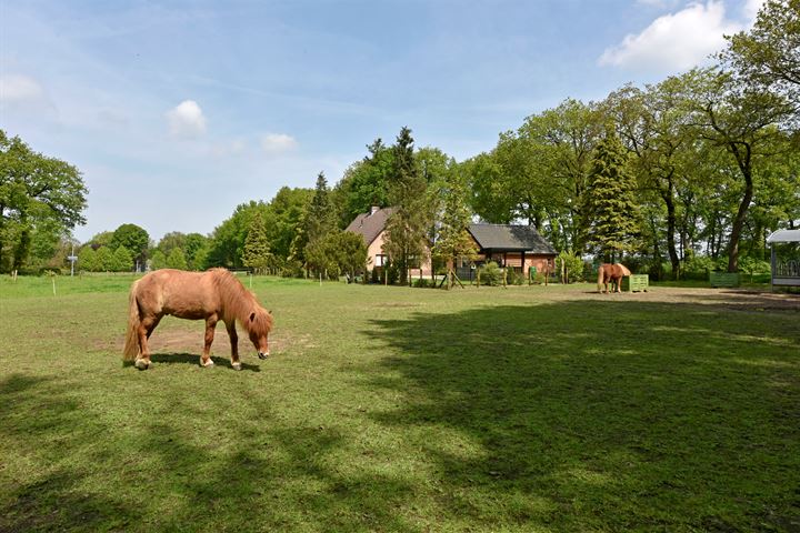 Bekijk foto 8 van Hoge Boeschoterweg 35