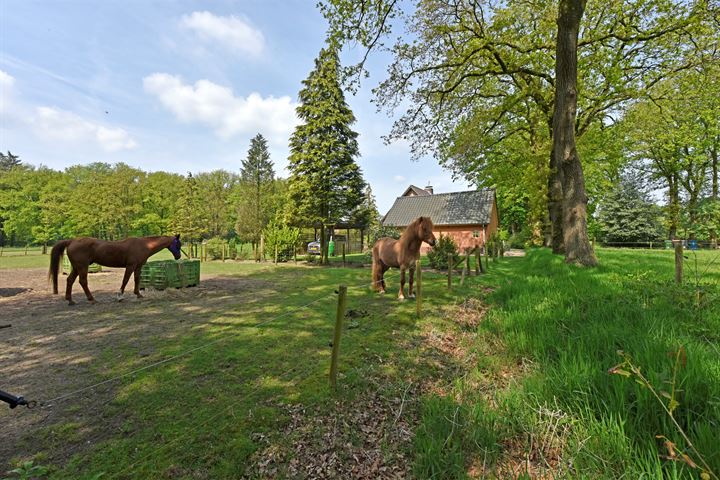 Bekijk foto 24 van Hoge Boeschoterweg 35