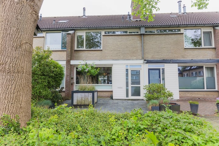 Bekijk foto 1 van Lodewijkstraat 43