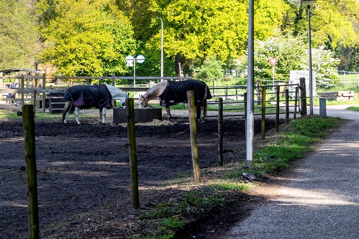 Bekijk foto 37 van Het Sander 4