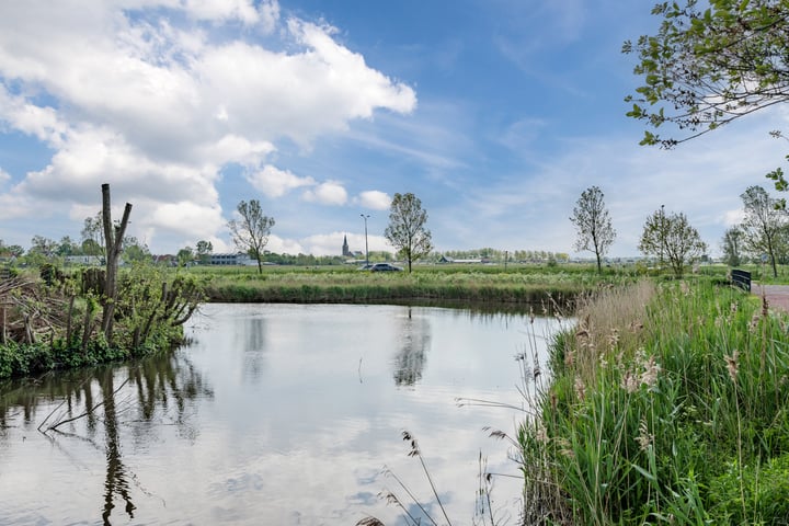 Bekijk foto 35 van IJsbloem 25