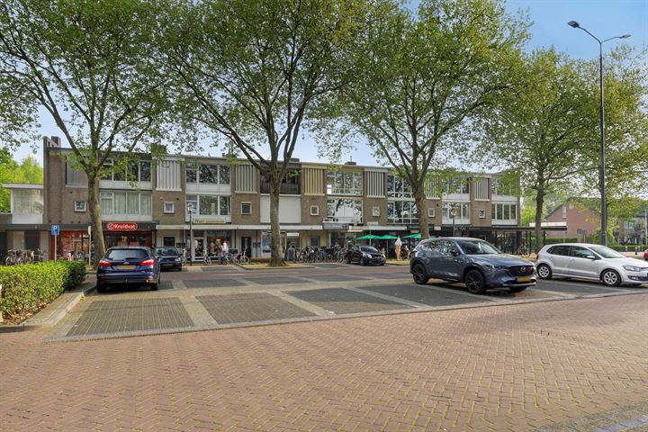 Bekijk foto 18 van Moleneindplein 4-B