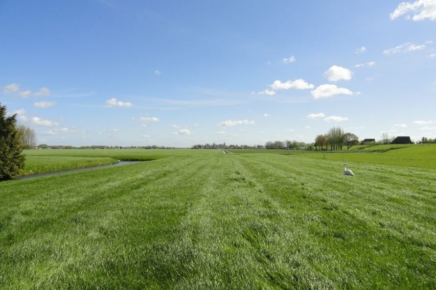 Bekijk foto 1 van Westerdijk