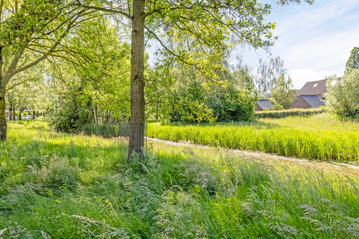 Bekijk foto 42 van Schepen van Collhof 1