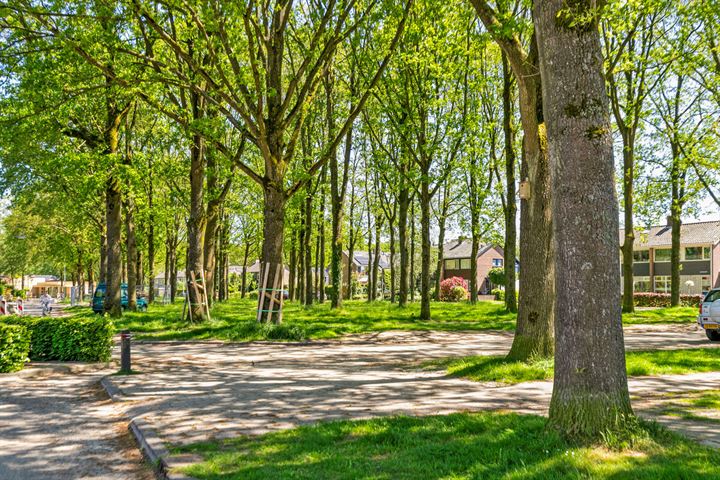 Bekijk foto 43 van Iepenlaan 15