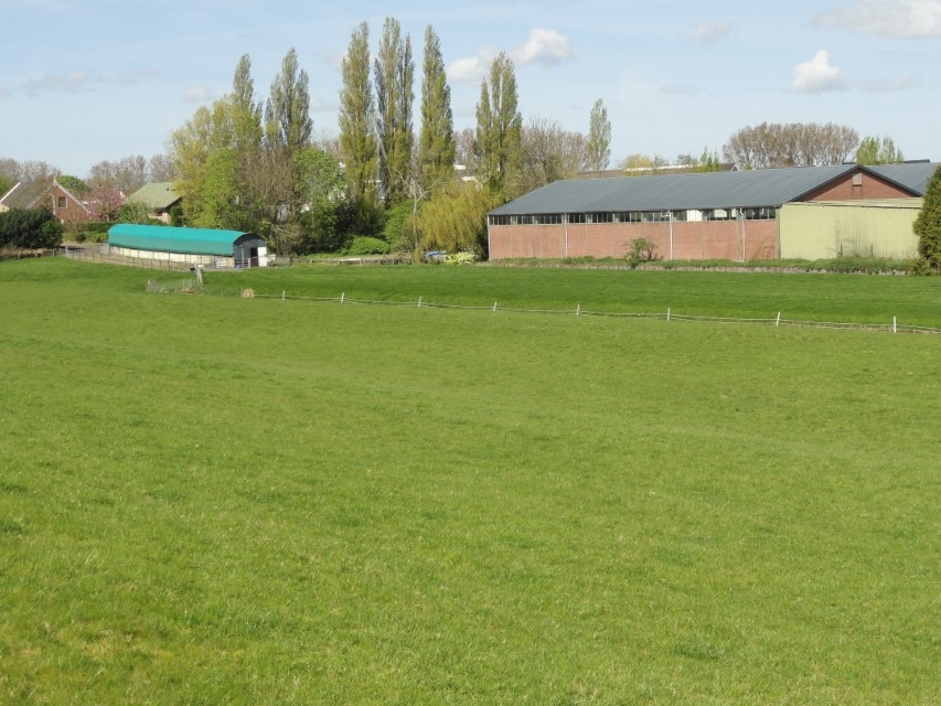 Bekijk foto 5 van Westerdijk