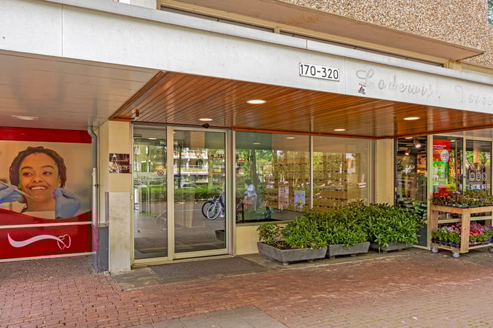 Bekijk foto 4 van Koning Lodewijklaan 232