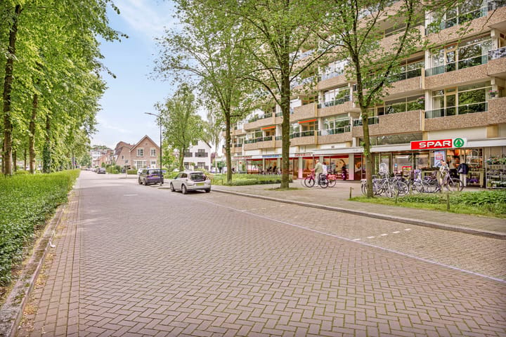 Foto 23 van Koning Lodewijklaan 232