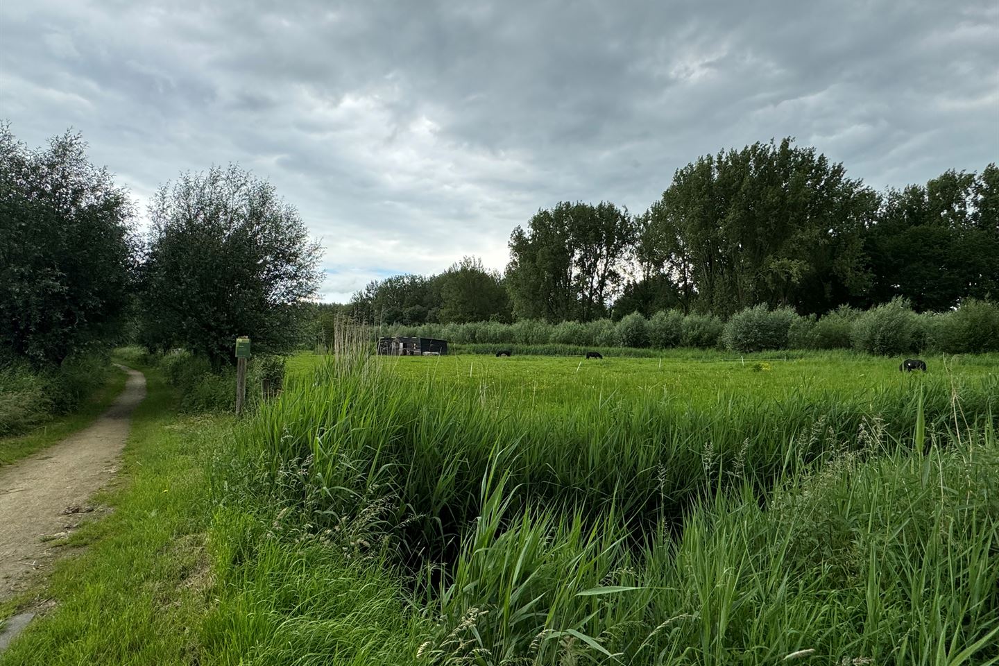 Bekijk foto 4 van Giessensesteeg