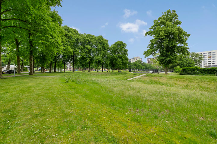 Bekijk foto 3 van Meerstraat 111