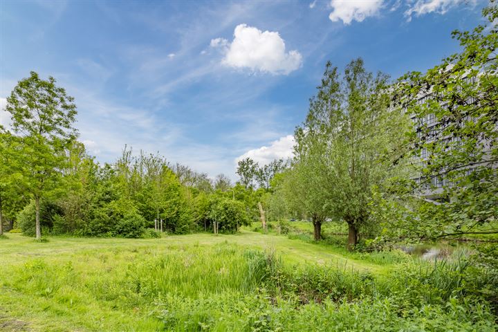 Bekijk foto 46 van Stadhoudersplantsoen 12-C