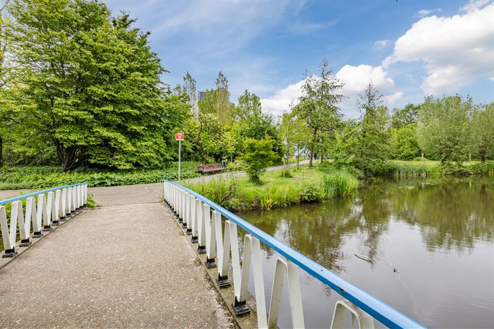 Bekijk foto 47 van Stadhoudersplantsoen 12-C