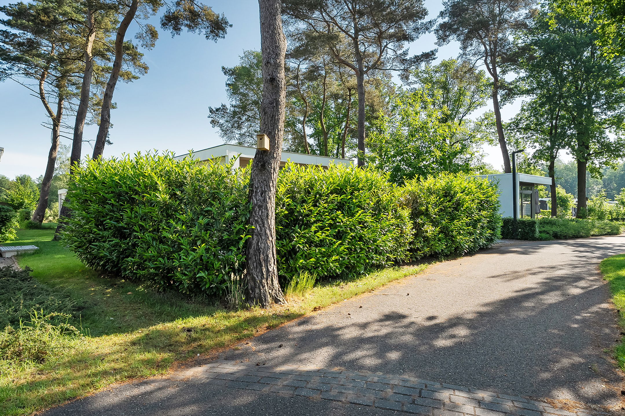 2-bedroom freehold villa in IJhorst — photo 4 of 5