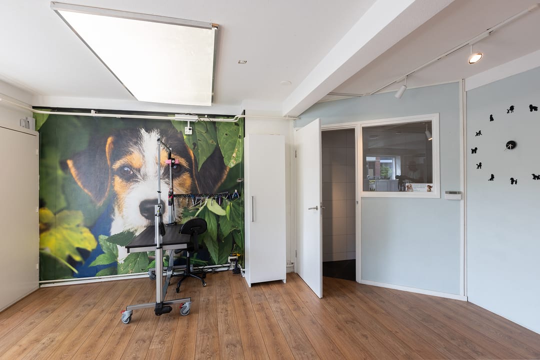 Foto 2 van Laagte 14