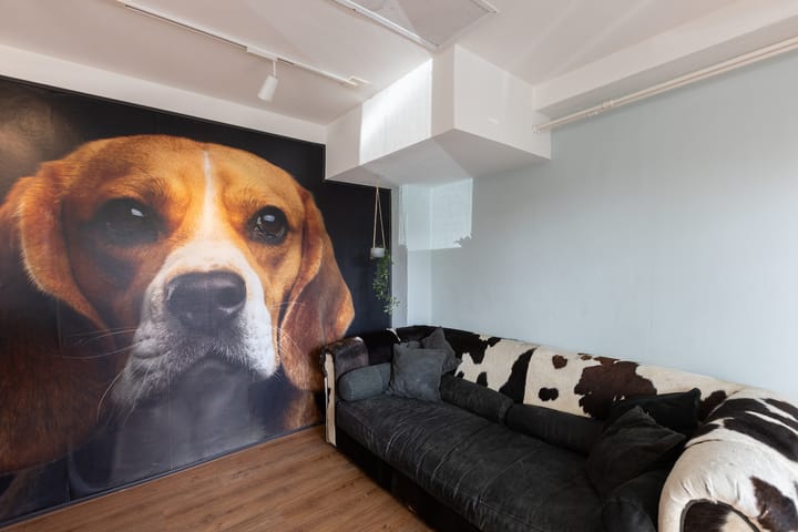 Foto 4 van Laagte 14