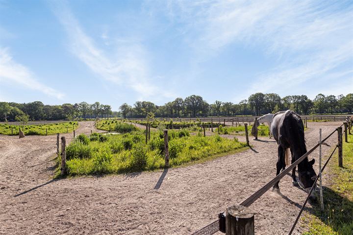 Bekijk foto 59 van Heenkamppieperweg 9