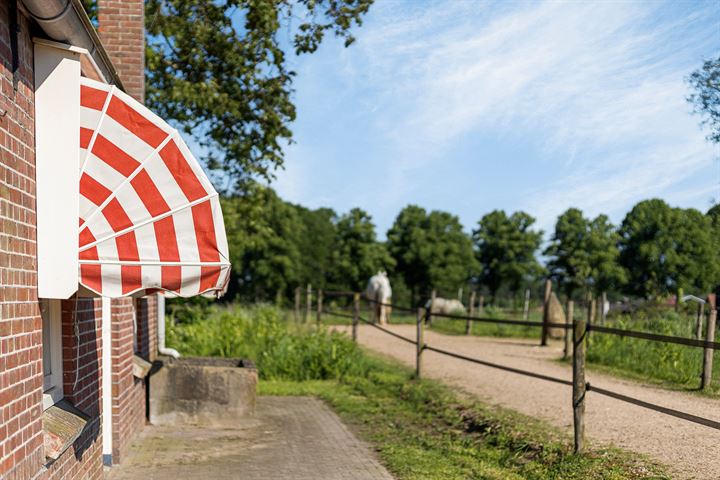 Bekijk foto 66 van Heenkamppieperweg 9