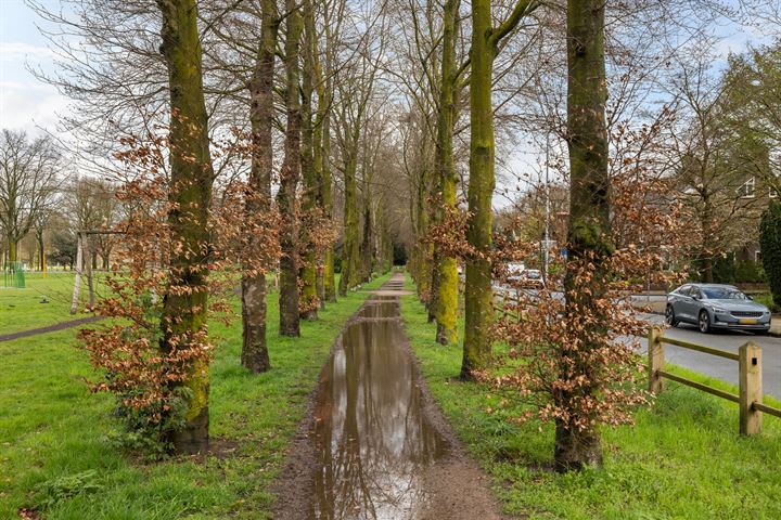 Bekijk foto 41 van De Ruyterstraat 26