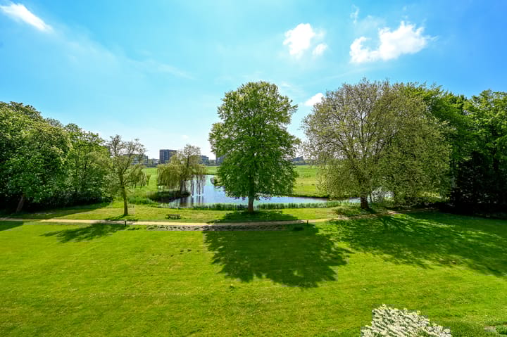 Foto 3 van Spaarnberglaan 10