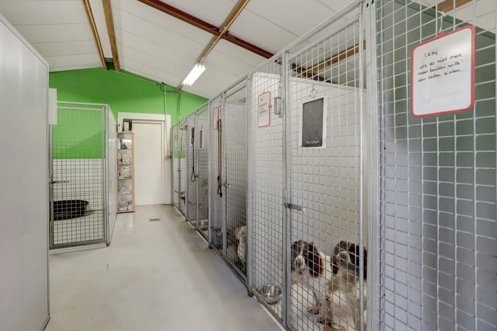 Foto 56 van Moststraat 2