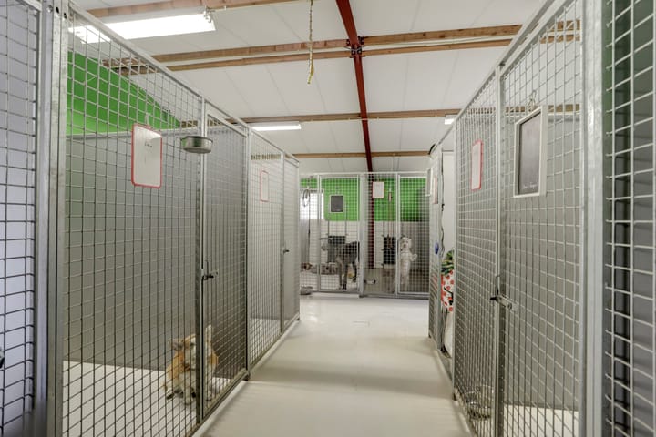 Foto 59 van Moststraat 2