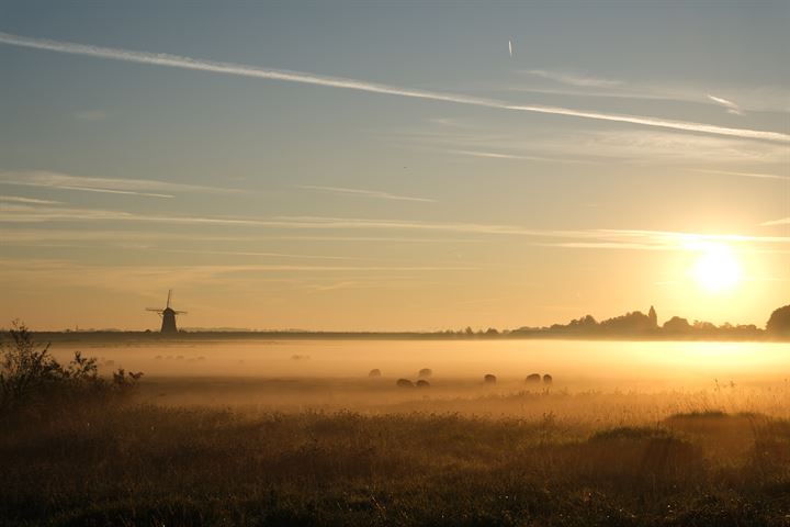 Bekijk foto 63 van Arenastraat 19