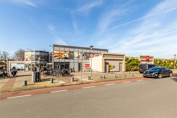 Bekijk foto 43 van Roerdompstraat 20