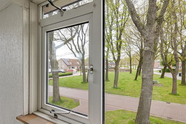 Bekijk foto 12 van Heidebloemstraat 42