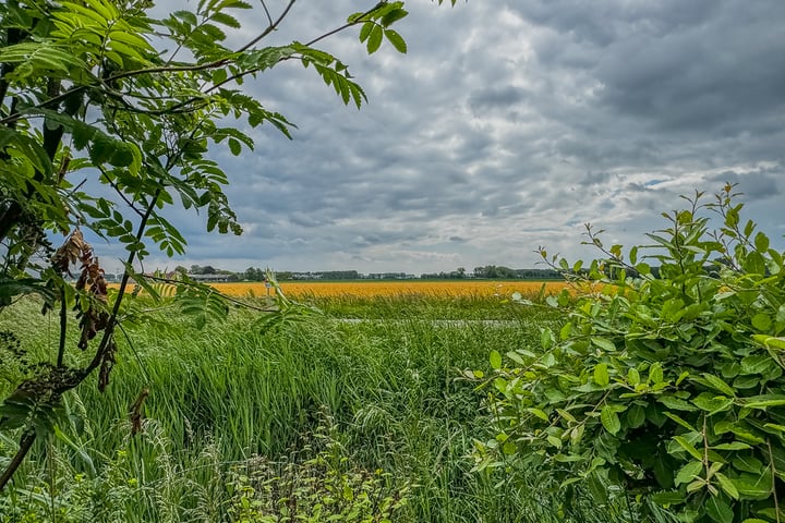 Bekijk foto 33 van Molendijk 42