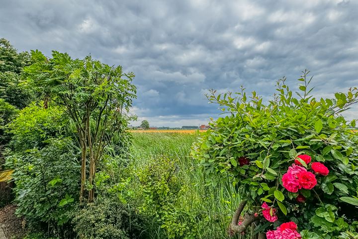 Bekijk foto 32 van Molendijk 42