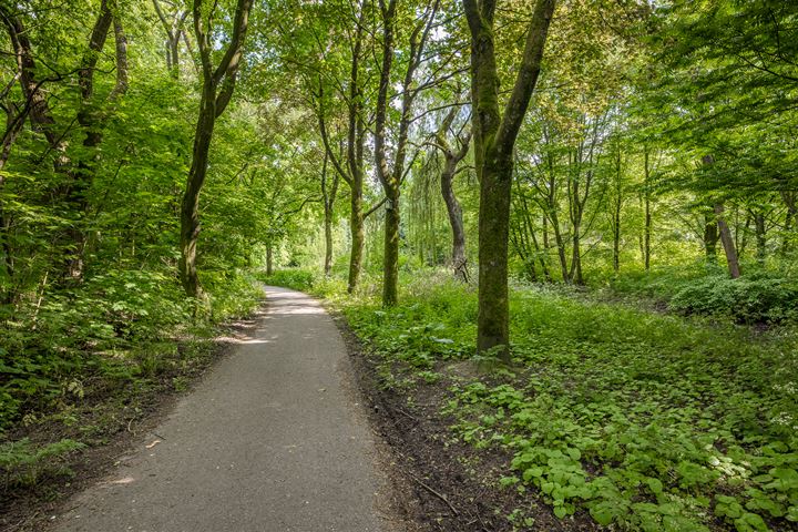 Bekijk foto 56 van IJsselsteinseweg 66