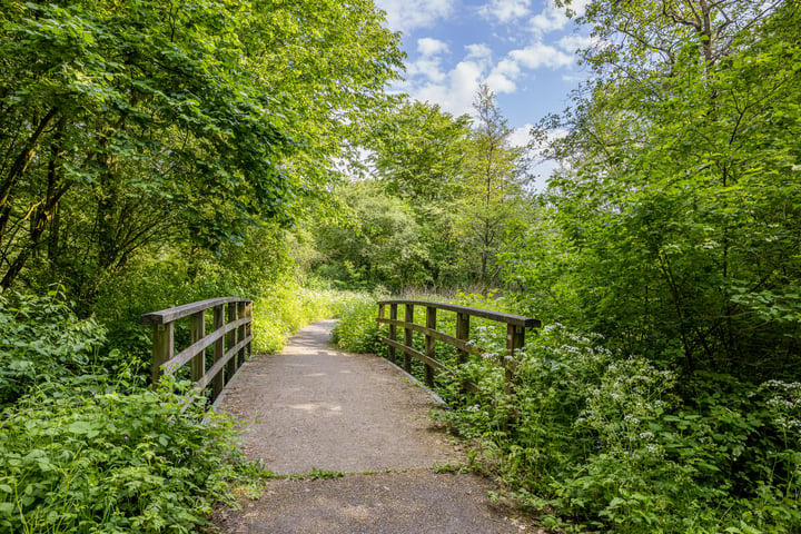 Bekijk foto 57 van IJsselsteinseweg 66