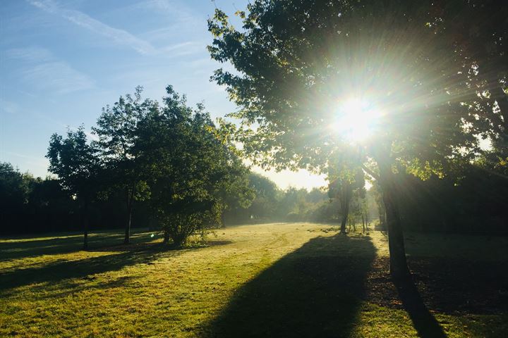 Bekijk foto 45 van Zuiddijk 14