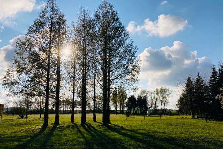 Bekijk foto 67 van Zuiddijk 14