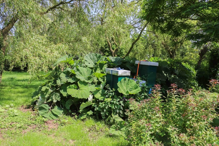 Bekijk foto 73 van Zuiddijk 14