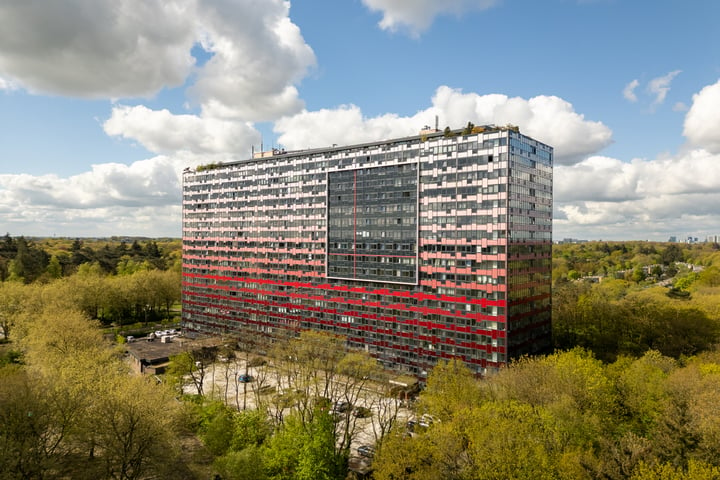 Bekijk foto 1 van Laan van Vollenhove 384