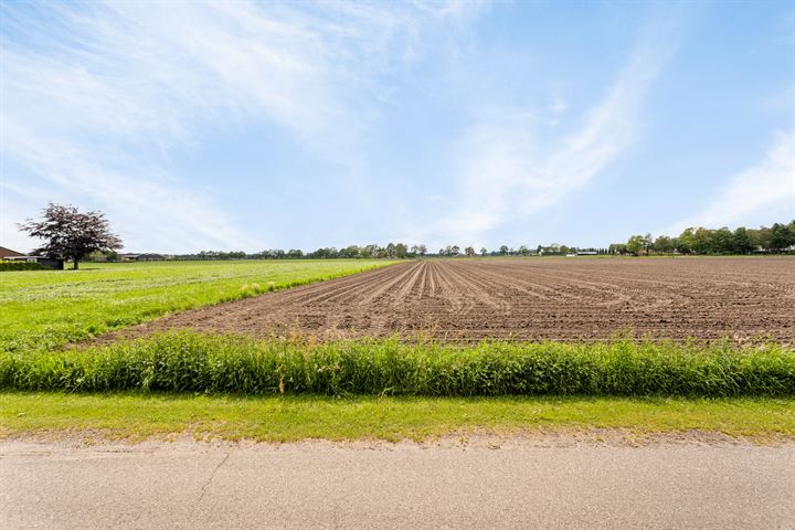 Bekijk foto 9 van Striep 4