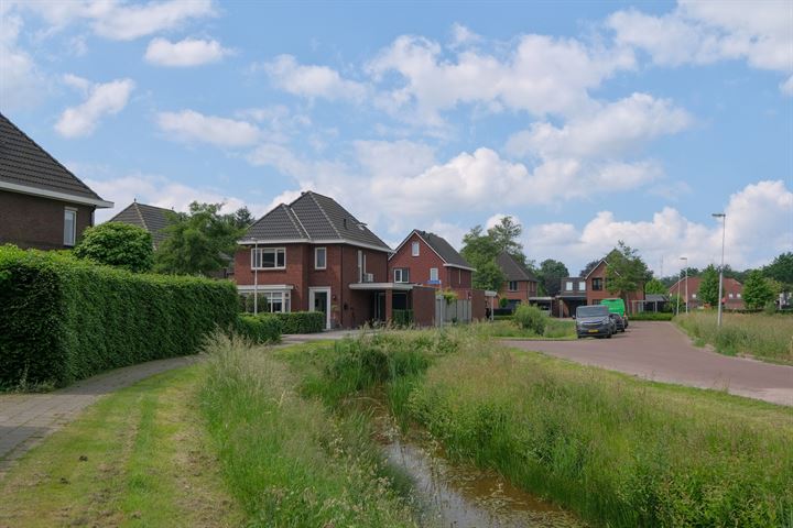 Bekijk foto 24 van Hoefblad 2