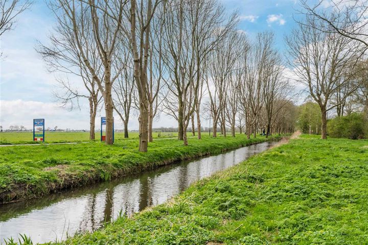 Bekijk foto 39 van Stadhoudershof 42