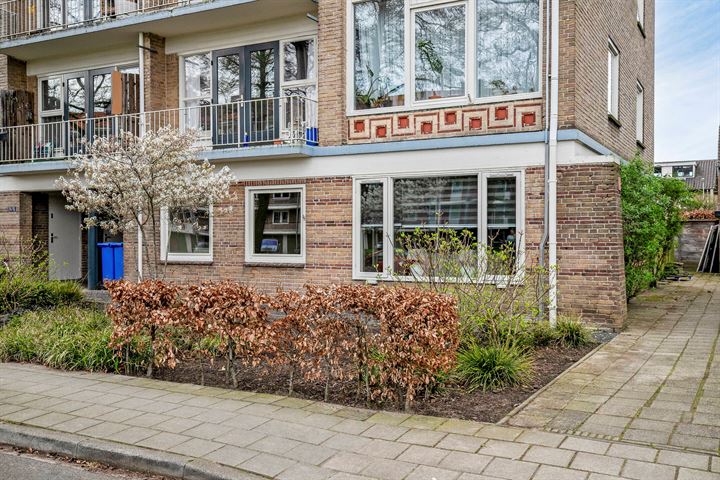 Bekijk foto 1 van Haydnstraat 18-A