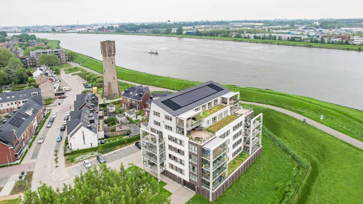 Foto 1 van Fonteinkruid 19