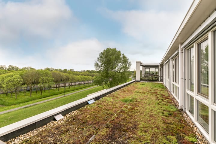 Foto 46 van Fonteinkruid 19