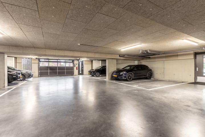 Foto 47 van Fonteinkruid 19