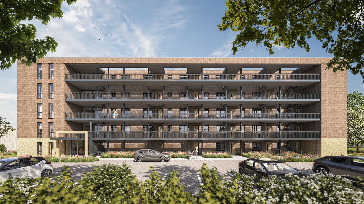 Photo 8 of Mix Cammingha - Melkema Staete