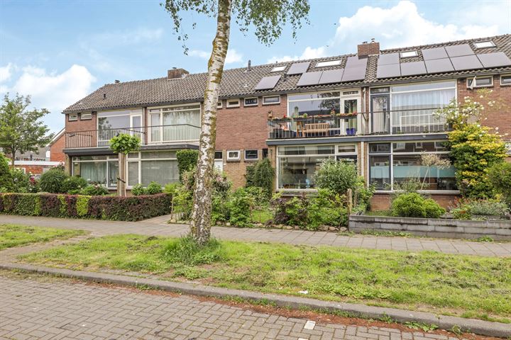 Bekijk foto 4 van Ranonkelstraat 52