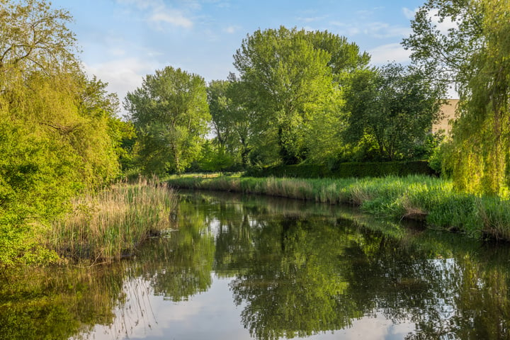 Bekijk foto 31 van Donizettipad 1