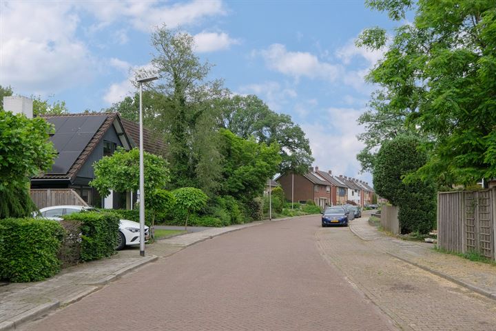 Bekijk foto 31 van Schumannstraat 27